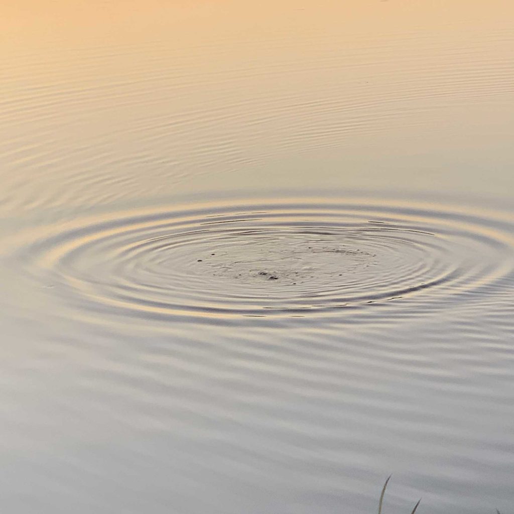 Konzentrisch sich ausbreitende Wasserwellen auf einem See